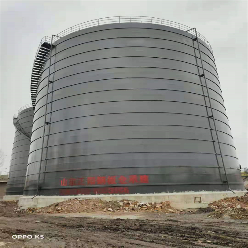 平舆3万吨大型钢板库