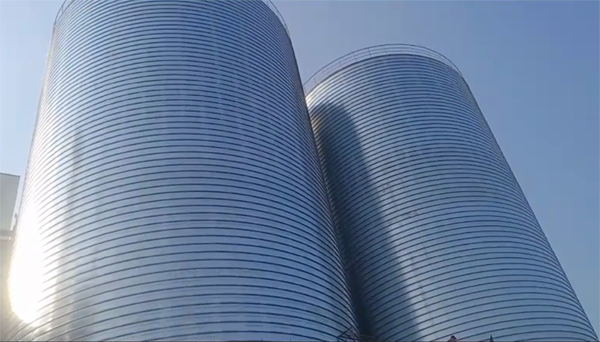 平舆2座混凝土高架卷板仓